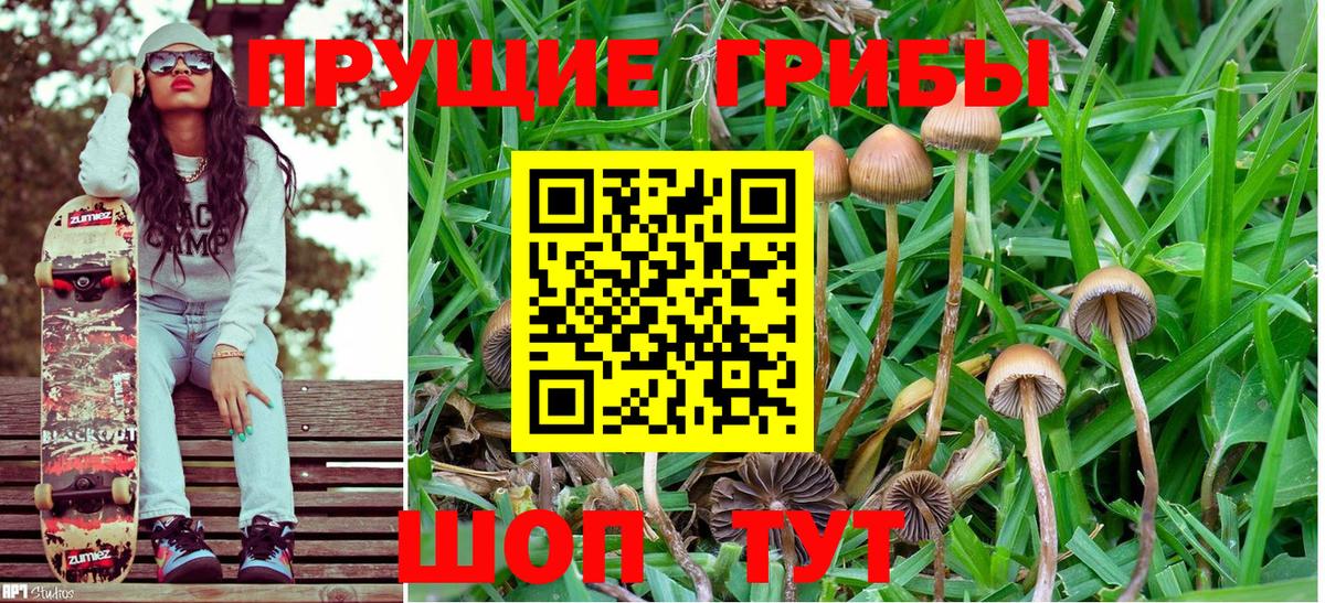 Галлюциногенные грибы MAGIC MUSHROOMS  Вход с VPN  Старая Купавна 
