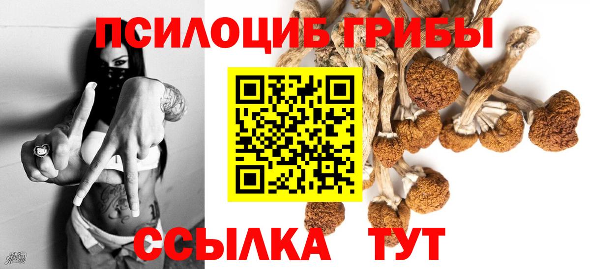 Псилоцибиновые грибы GOLDEN TEACHER  Старая Купавна 